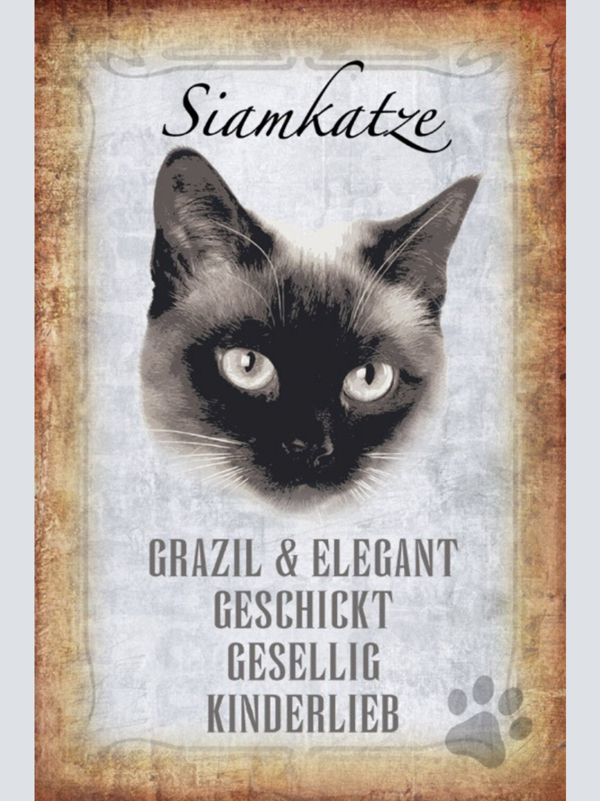 Schild Spruch Siamkatze Steckbrief Gesellig Kinderlieb JW
