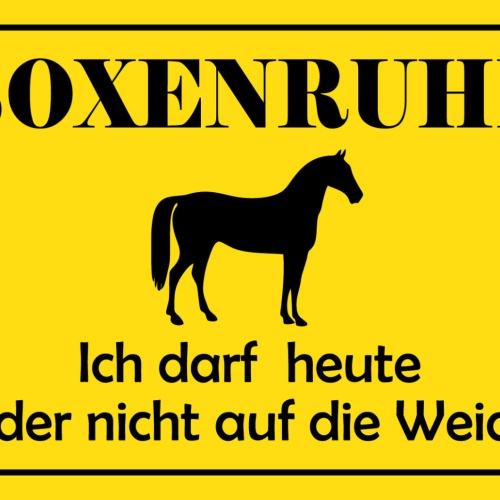 Schild Spruch Boxenruhe Pferd Ich darf heute leider nicht auf die Weide JW
