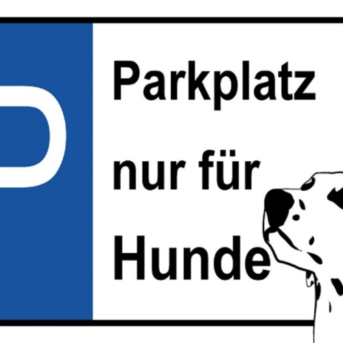 Schild Spruch Parkplatz nur für Hunde Dalmatiner JW