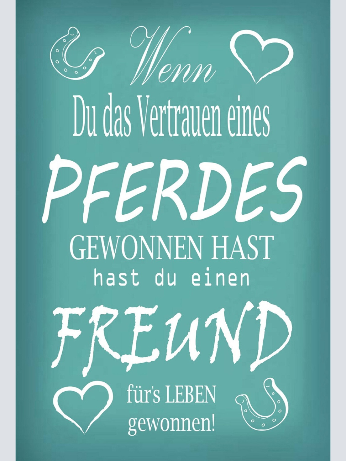 Schild Spruch Wenn du Vertrauen eines Pferdes gewonnen hast Freund fürs Leben JW