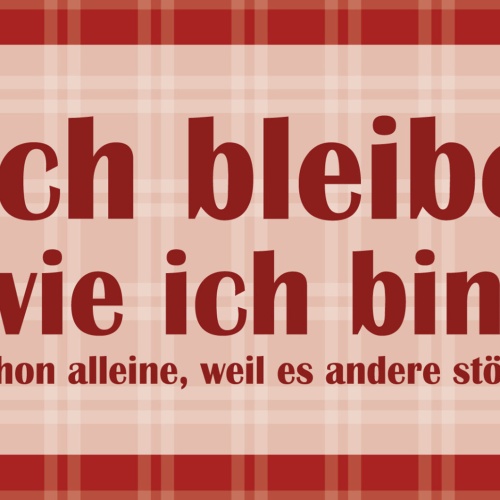 Schild Spruch Ich bleibe wie ich bin Schon weil es andere stört JW