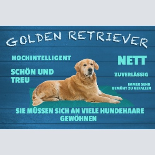 Schild Spruch Golden Retriever Steckbrief Hochintelligent Nett Schön Hund JW