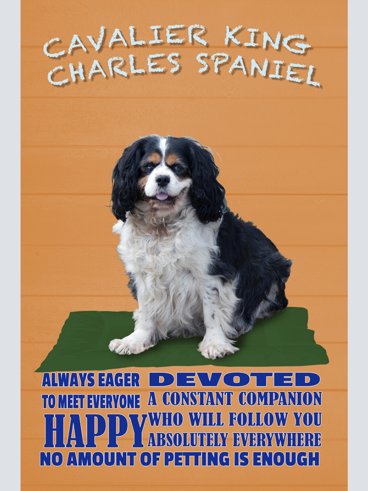 Schild Spruch Cavalier King Charles Spaniel Steckbrief Happy Fröhlich Hund JW