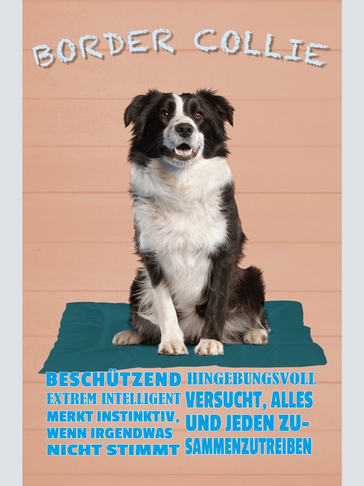 Schild Spruch Border Collie Beschützend Extrem Intelligent Hund JW