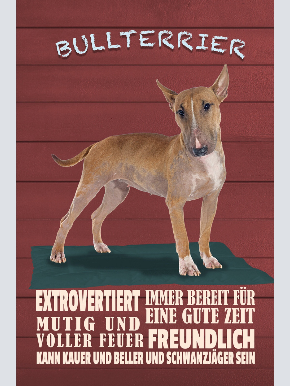 Schild Spruch Bullterrier Mutig Freundlich Extrovertiert Hund JW