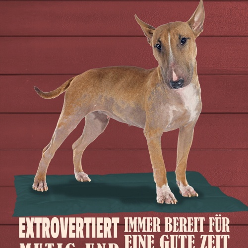 Schild Spruch Bullterrier Mutig Freundlich Extrovertiert Hund JW
