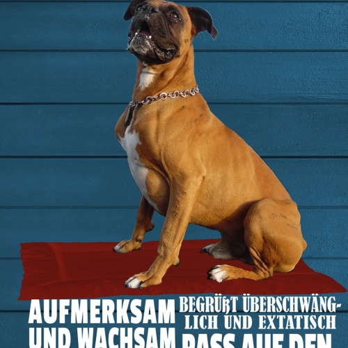 Schild Spruch Boxer Steckbrief Aufmerksam Wachsam Verspielt Hund JW
