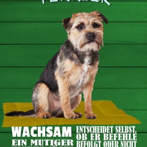 Schild Spruch Border Terrier Steckbrief Wachsam Willensstark Mutig Hung JW