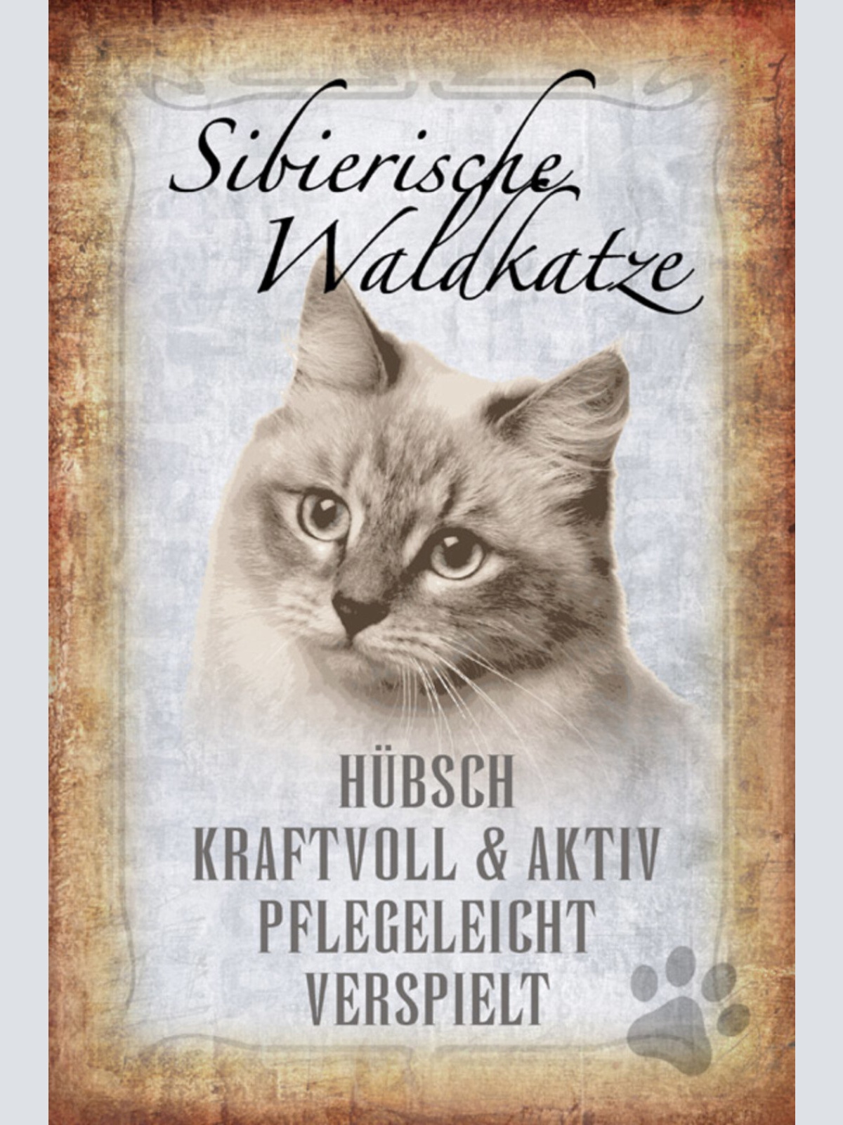 Schild Spruch Sibierirsche Waldkatze Steckbrief Hübsch Verspielt JW