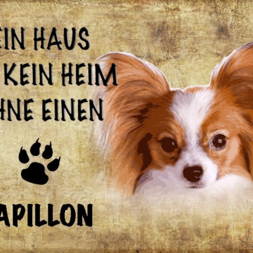 Schild Spruch Haus ist kein Heim ohne Papillon Hund JW