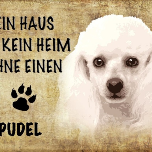 Schild Spruch Haus ist keine Heim ohne Pudel Hund JW