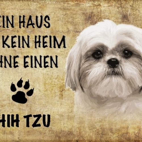 Schild Spruch Haus ist keine Heim ohne Shih Tzu Hund JW