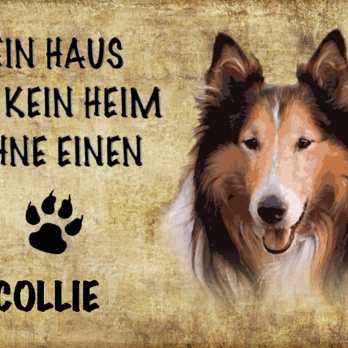 Schild Spruch Haus ist keine Heim ohne Collie Hund JW