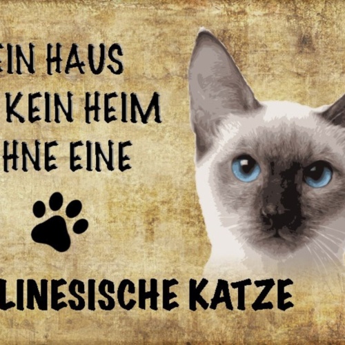 Schild Spruch Haus ist kein Heim ohne Balinesische Katze JW