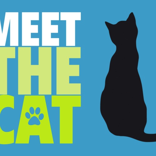 Schild Spruch Meet the cat Lern die Katze kennen JW