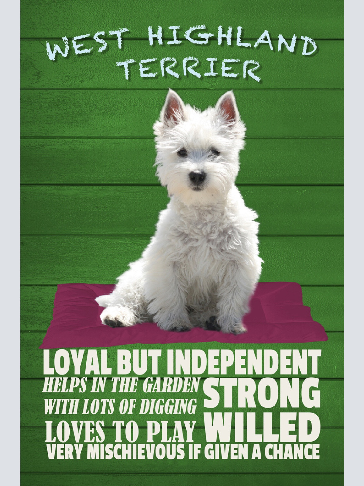 Schild Spruch West Highland Terrier Steckbrief Loves to play Verspielt Hund JW