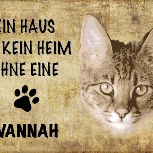 Schild Spruch Haus ist kein Heim ohne Savannah Katze JW
