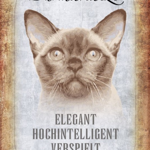 Schild Spruch Burmakatze Steckbrief Elegant Hochintelligent JW