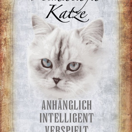 Schild Spruch Himalaya Katze Steckbrief Anhänglich Intelligent JW