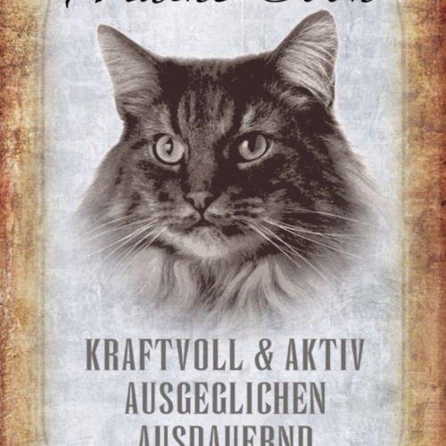 Schild Spruch Maine Coon Katze Steckbrief Kraftvoll Kinderlieb JW