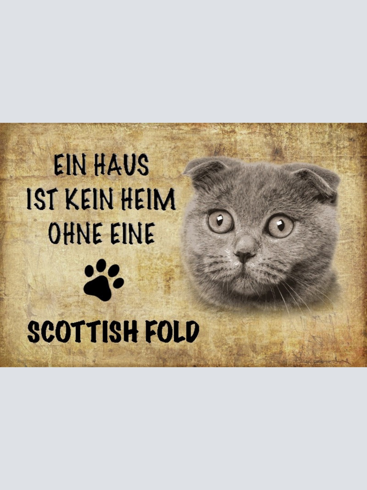 Schild Spruch Haus ist kein Heim ohne Scottish Fold Katze JW