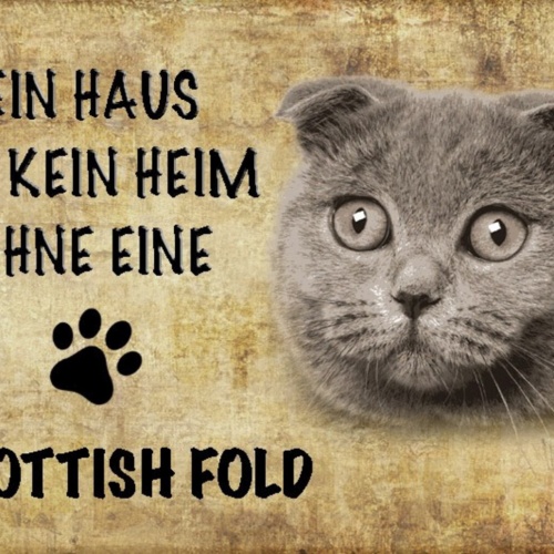 Schild Spruch Haus ist kein Heim ohne Scottish Fold Katze JW