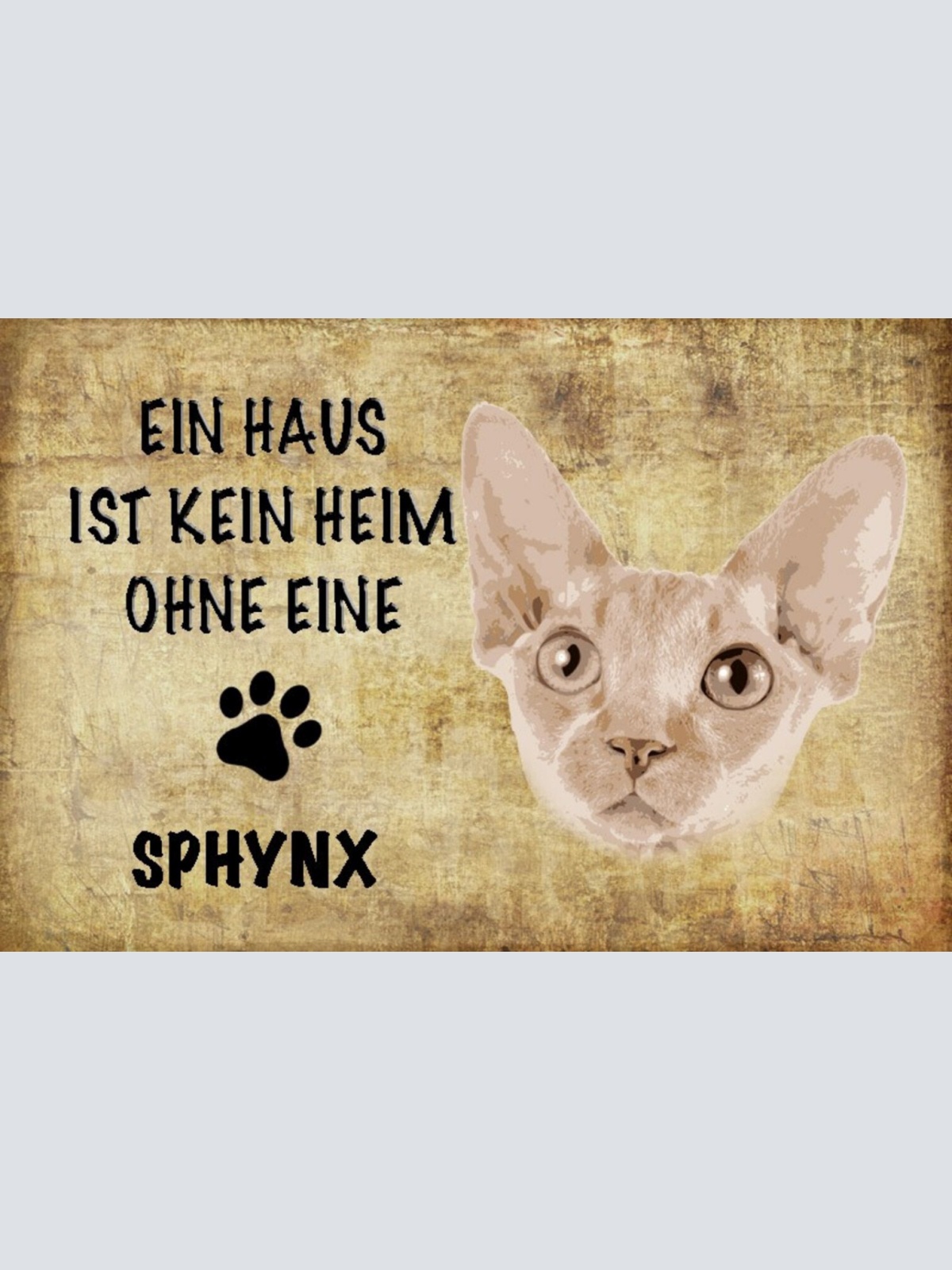 Schild Spruch Haus ist kein Heim ohne Sphynx Katze JW