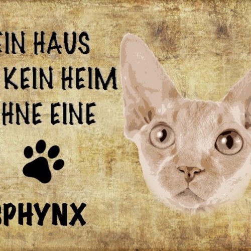 Schild Spruch Haus ist kein Heim ohne Sphynx Katze JW