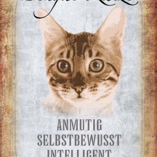 Schild Spruch Bengal Katze Steckbrief Anmutig Selbstbewußt JW