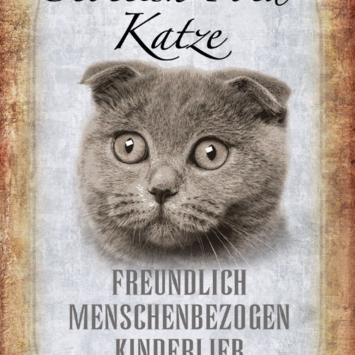 Schild Spruch Scottish Fold Katze Steckbrief Freundlich Menschenbezogen JW
