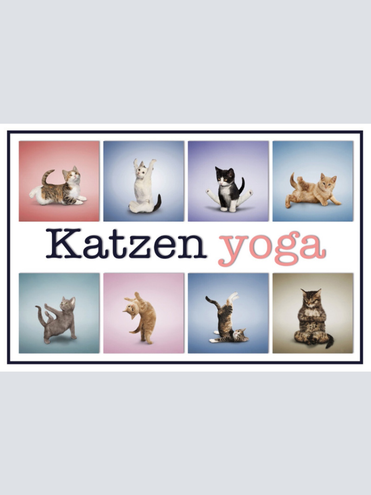 Schild Spruch Katzen Yoga JW