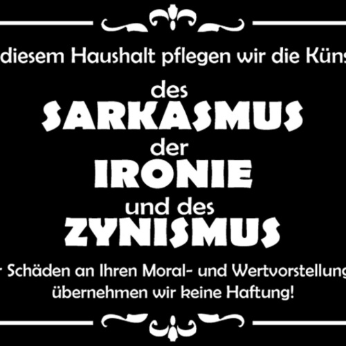 Schild Spruch In diesem Haushalt pflegen wir Sarkasmus Ironie Zynismus Moral JW