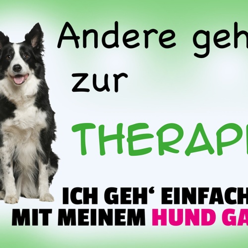Schild Spruch Andere gehen zur Therapie Ich geh mit Hund Gassi JW