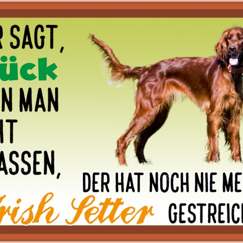 Schild Spruch Wer sagt Glück nicht anfassen hat nie Irish Setter gestreichelt JW