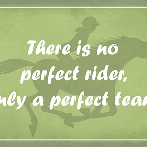 Schild Spruch No perfect rider only perfect team Pferd Reiten Kein perfekter JW