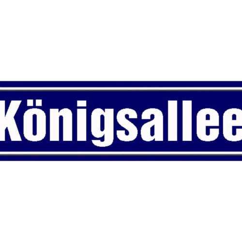 Schild Königsallee Düsseldorf Kö Stadt Ort Platz Straße 46 x 10 Blech od. Holz