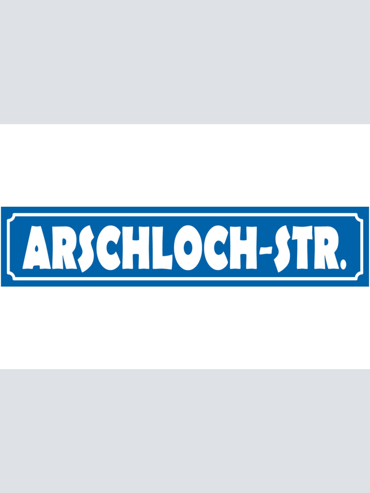 Schild Arschloch Straße Ort Gasse Fluchen Beschimpfung 46 x 10 Blech od. Holz