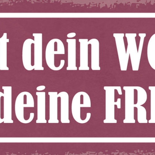 Schild Halt Dein Wort Oder Deine Fresse Versprechen Halten 27x10 Blech od.Holz