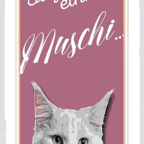 Schild Sag Noch Einmal Muschi Katze Mittelfinger 27x10 Blech od.Holz