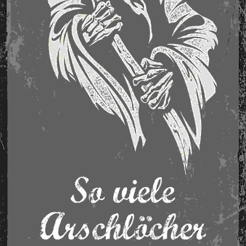 Schild So Viele Arschlöcher & Nur Eine Sense Tod Leben 27x10 Blech od.Holz