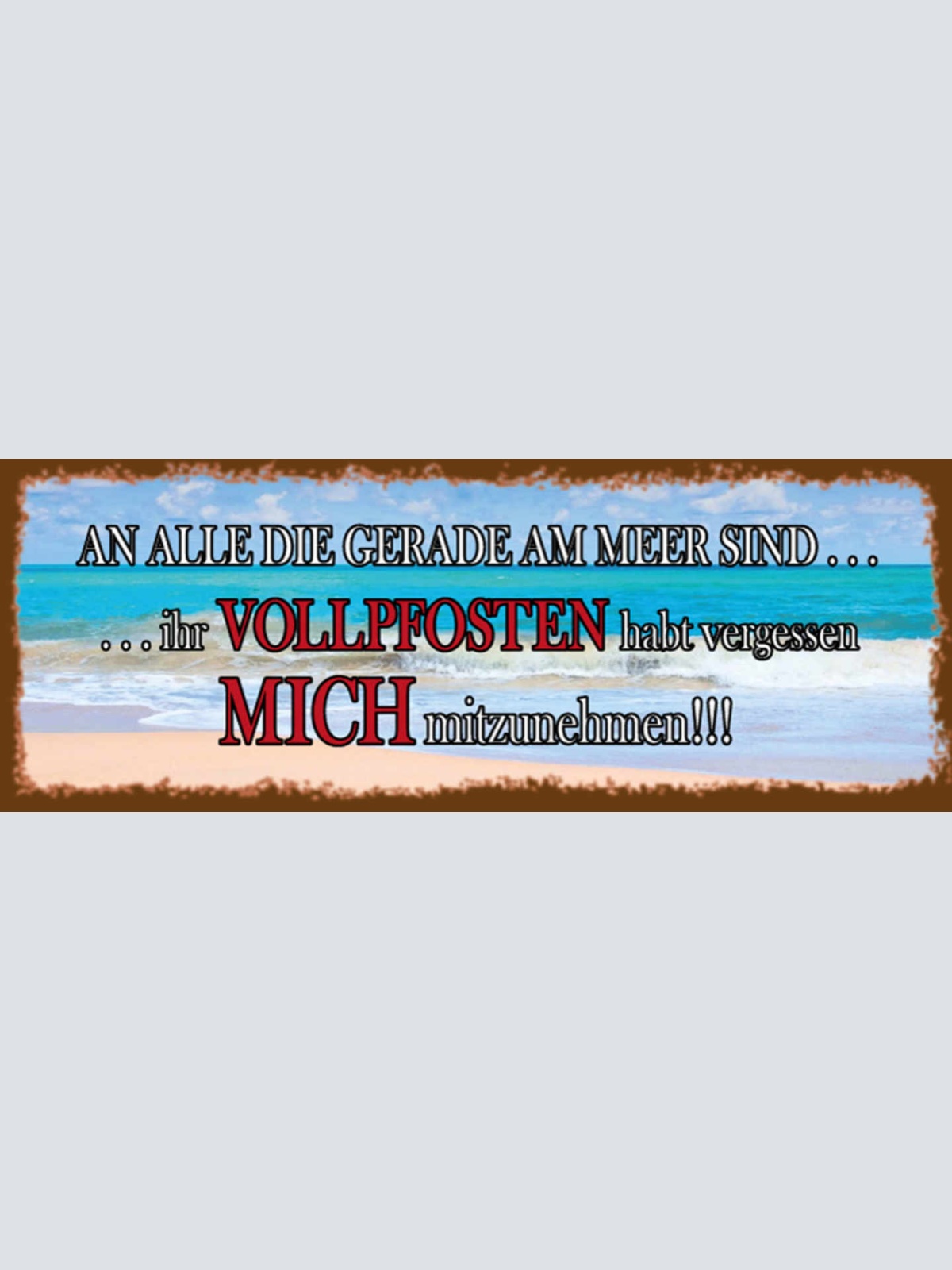 Schild An Alle Die Gerade Am Meer Sind Vollpfosten Vergessen Mich Mitnehmen