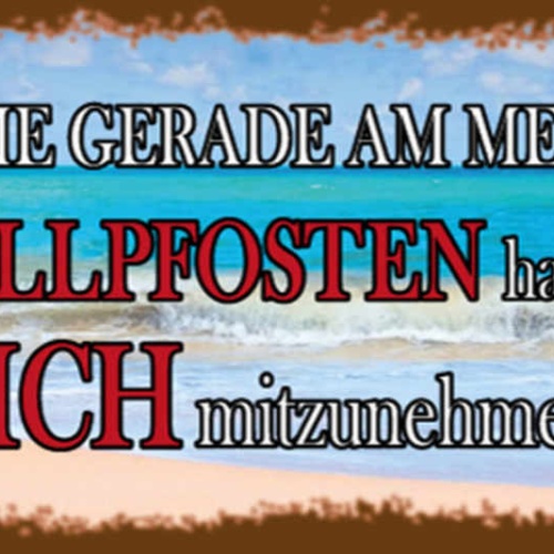 Schild An Alle Die Gerade Am Meer Sind Vollpfosten Vergessen Mich Mitnehmen