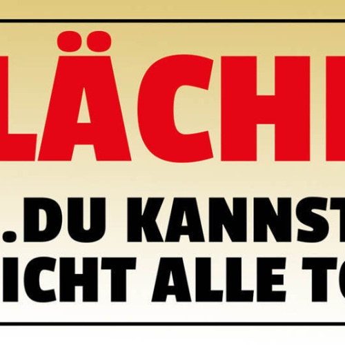 Schild Lächle Du Kannst Sie Nicht Alle Töten Lachen Laune 27x10 Blech od.Holz