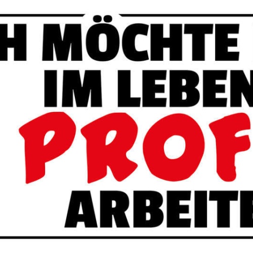 Schild Ich Möchte Einmal Im Leben Mit Profis Arbeiten Arbeit 27x10 Blech od.Holz