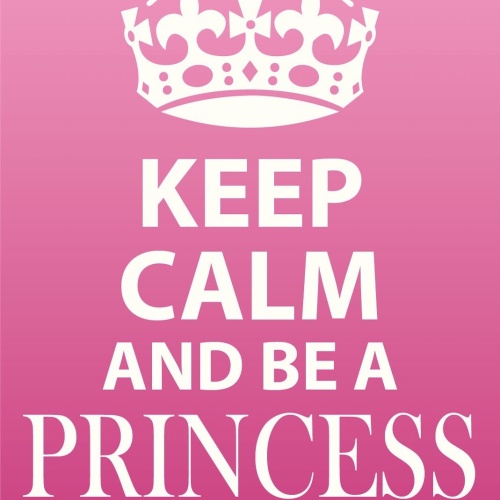 Schild Keep Calm Princess Today Prinzessin 12x18 / 20x30 / 30x40 Blech od. Holz