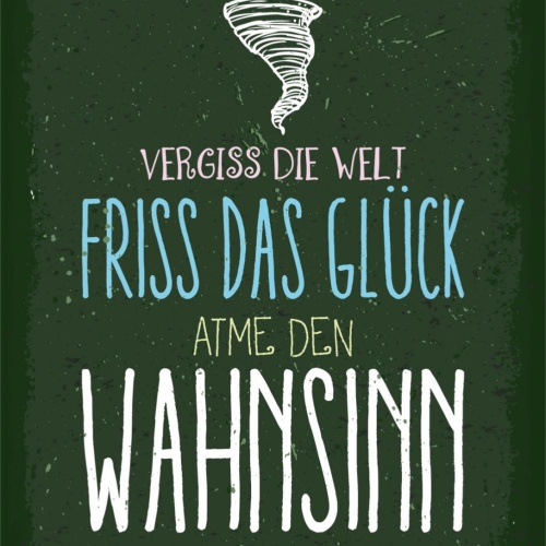 Schild Vergiss Die Welt Friss Glück Atme Wahnsinn 12x18 20x30 30x40 Blech/Holz