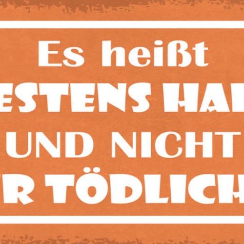 Schild Es Heißt Mindestens Haltbar & Nicht Sicher Tödlich Ab 27x10 Blech od.Holz