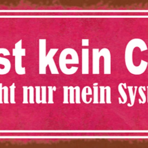 Schild Das Ist Kein Chaos Ihr Versteht Nur Mein System Nicht 27x10 Blech od.Holz