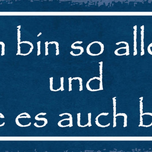 Schild Ich Bin So Allein & Möchte Es Auch Bleiben Einsam 27x10 Blech od.Holz