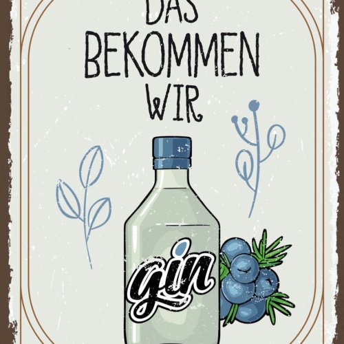 Schild Das Kriegen Wir Gin Hin Alkohol Flasche 12x18 20x30 30x40 Blech/Holz